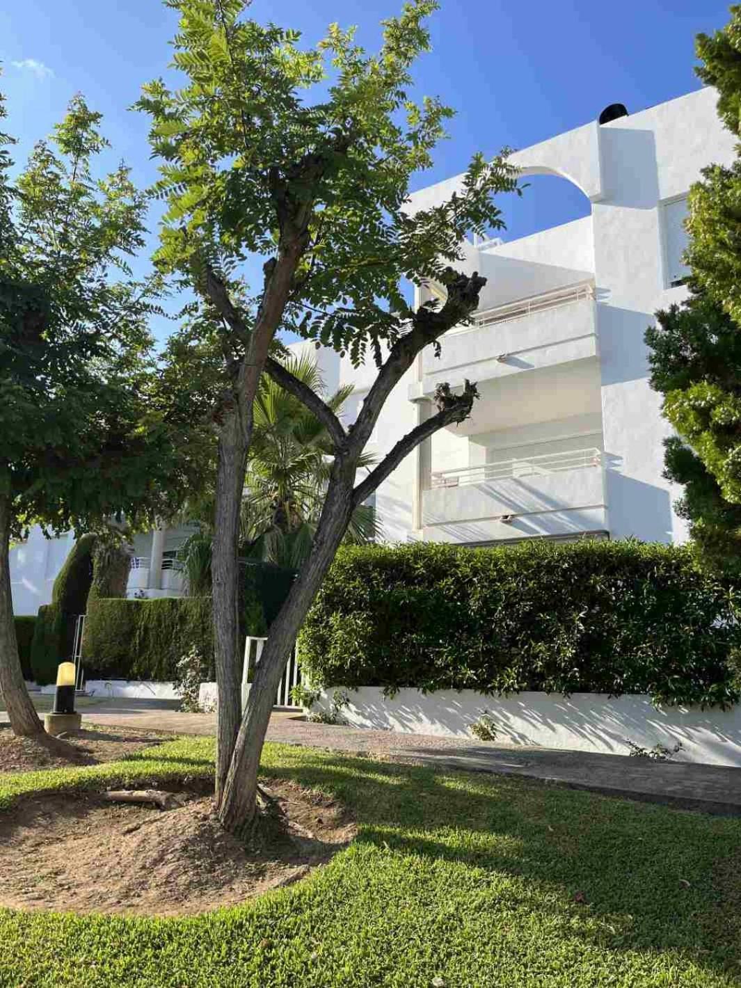 Apartamento Isholidays Acron *